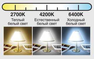 Чем отличается теплый свет от холодного в светодиодных лампах