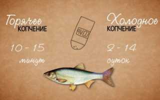 Домашние коптильни горячего и холодного копчения своими руками