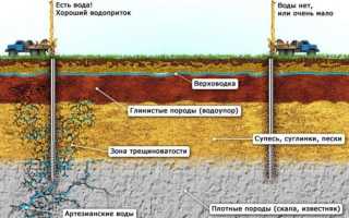 Как найти воду на участке для колодца: обзор лучших методов поиска воды на участке