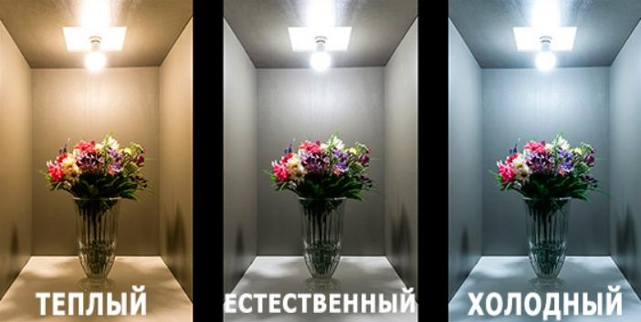 Что выбрать – теплый белый свет или холодный
