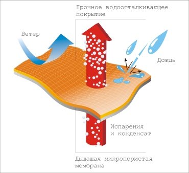 Парогидроизоляция. Какие пленки и куда ставятся в кровле или каркасной стене - фото Паропроницаемая мембрана - пропускает пар в обоих направлениях, а влагу только в одном