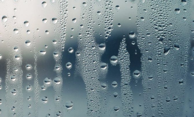 Почему потеют пластиковые окна изнутри