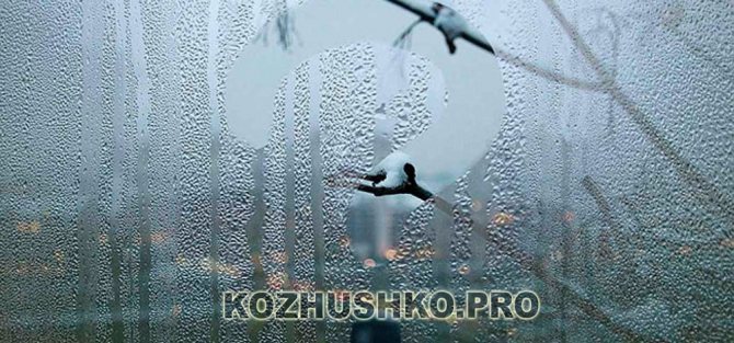 Потеют пластиковые окна в квартире