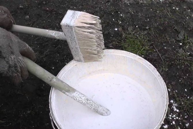 Разведенная известь