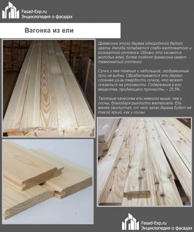 Вагонка из ели