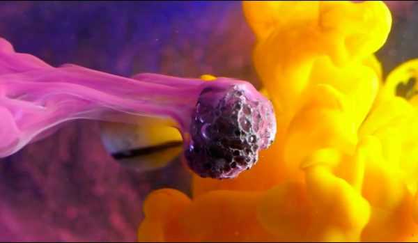 Цветной пигмент растворяется в воде Цветные пигменты