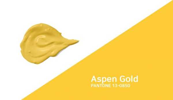 Золотая осина Аспен Голд пантон