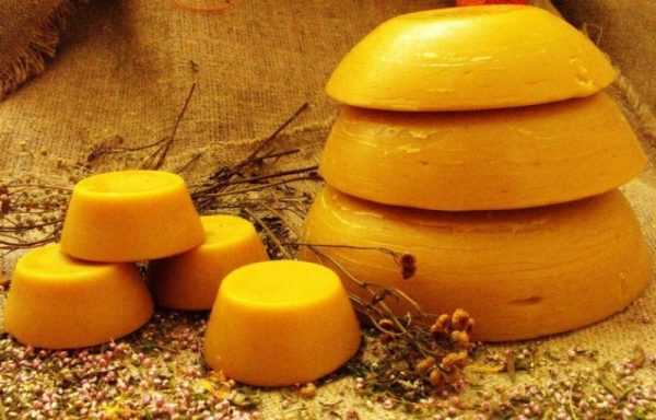 Так выглядит пчелиный воск Пчелиный воск