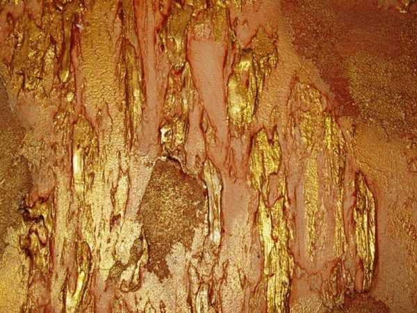 Декоративная штукатурка покрытая воском с позолотой