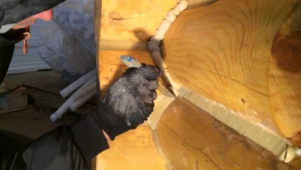 Заделка трещин дома из бруска герметиком Заделка трещин