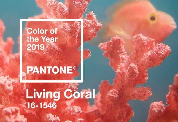 Живой коралл Living Coral цвет 2019 года