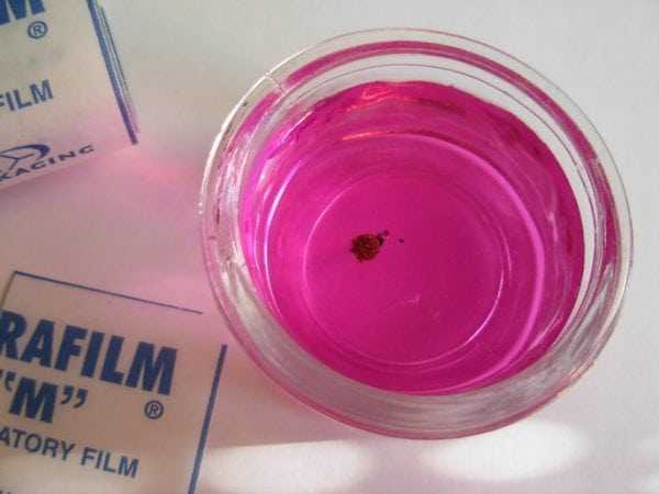 Марганцевый раствор Марганцевый раствор для придания вишневого цвета