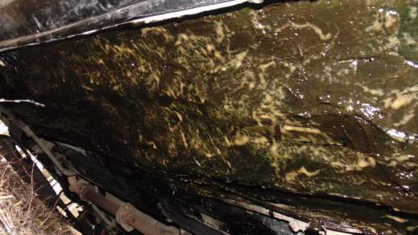 Даже после высыхания пушсало остается липким На пушечном сале скапливается пыль и грязь