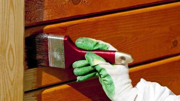 Скандинавское средство от гнили Нанесение защитной жидкости с помощью кисти