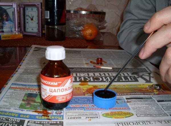 Цапонлак и паста из стержня Использование пасты из шариковых ручек для окраски лампочек