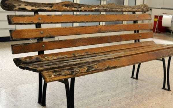 Плесень на старой садовой скамейке Из-за намокания на садовой мебели пожет появиться гниль и плесень