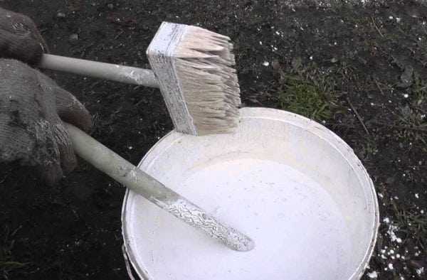 Состав побелки Состав побелки для деревьев