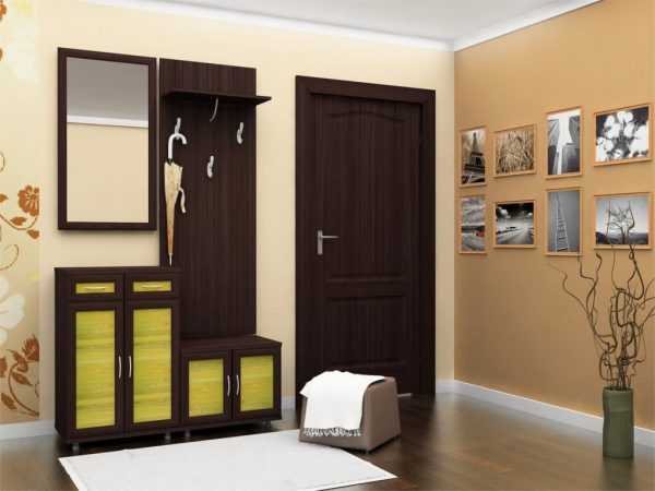 Прихожая цвета венге В коридоре темно-коричневый лучше использовать на светлом фоне