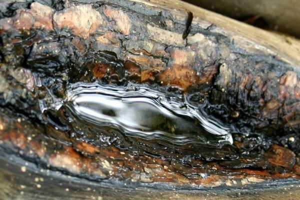 Наждачка нанесенная на дерево Раствор жидкой наждачки