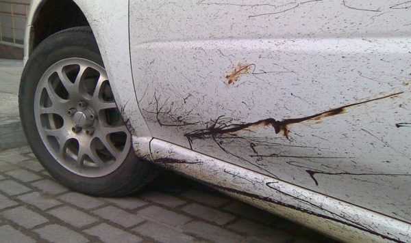 Следы гудрона на капоте автомобиля