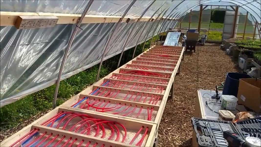Укладка теплого пола в теплице Теплый пол в теплице