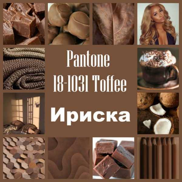 Тоффи пантон Оттенок 18-1031 Toffee