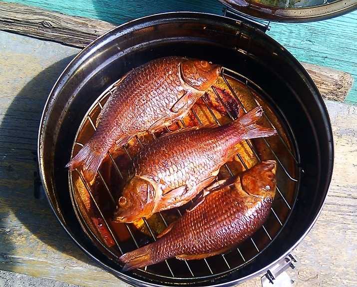 Копченная рыба сделанная в коптильне из бикса Коптильня из бикса