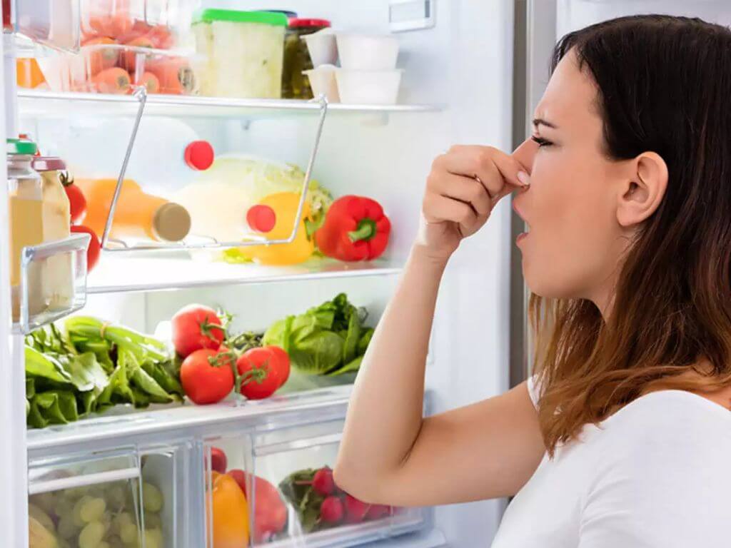 Можно ли ставить горячие продукты в холодильник?
