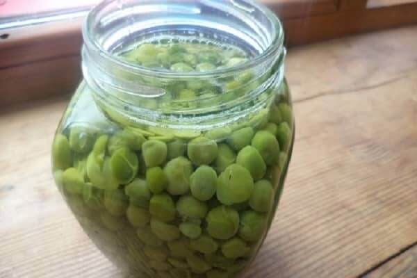 Как консервировать зеленый горошек в домашних условиях: 10 вкусных и простых рецептов на зиму